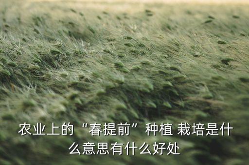 农业栽培是什么,植物栽培是农业的哪些行业?