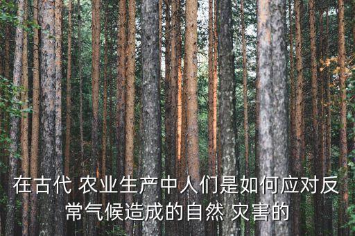 农业怎么预防冰雹的灾害,冰雹灾害对农业产业的影响及建言献策