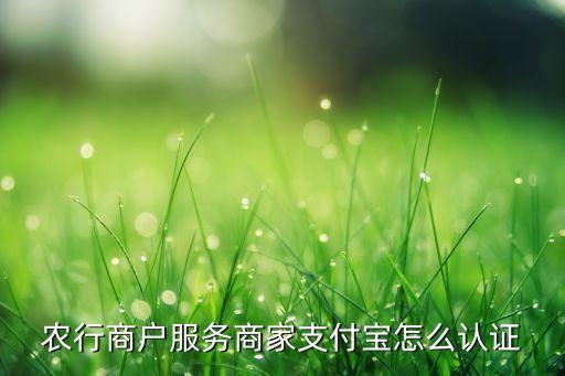 农业银行怎么实名验证视频