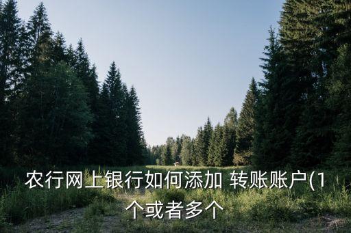 农业银行转账怎么显示账号