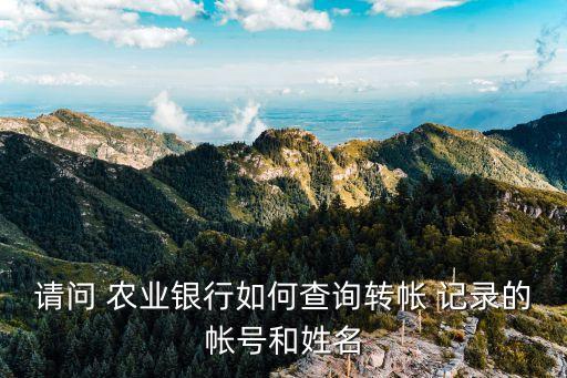怎么查看农业银行交易记录,农业银行app删除交易记录