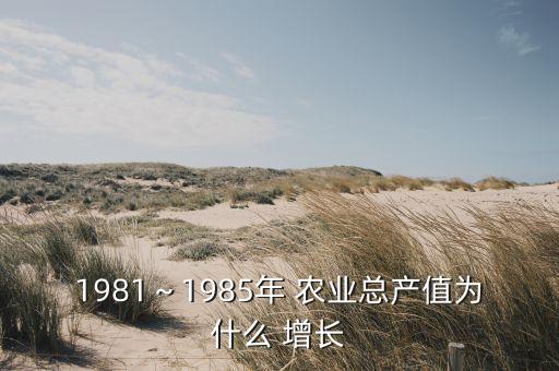 1981～1985年 农业总产值为什么 增长