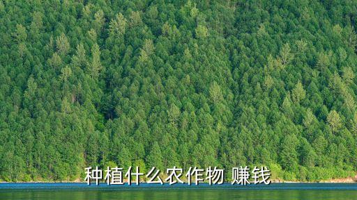 什么农业可以赚钱,推荐新芥末，夜香饺子适宜春天凉爽气候