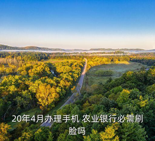 农业银行赚钱怎么都要刷脸