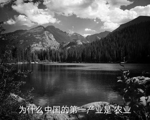 为什么中国的第一产业是 农业