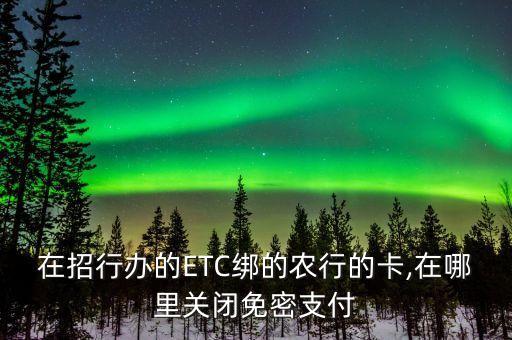 农业银行手机闪付怎么关,云闪付农业银行不显示余额
