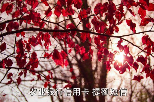 农业提额怎么说,给银行打电话提额怎么说