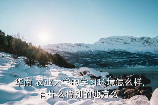 华南农业表演系怎么样