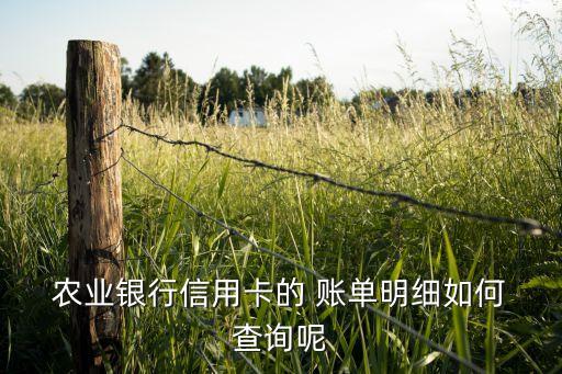 农业银行手机怎么查询对账单