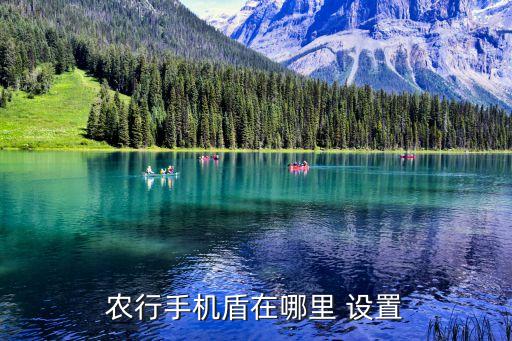 怎么把农业银行设置nfc,农业银行设置了限额怎么取消