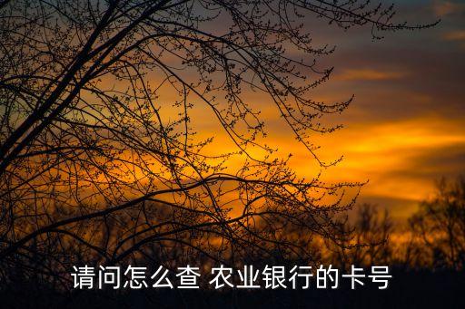 什么软件查农业银行卡号,三大注意事项!忘记银行卡有三种方法