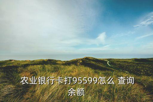 怎么查询自己农业银行余款,农业银行的积分怎么查询