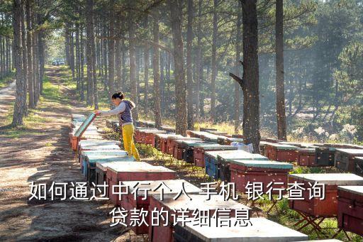 农业手机银行怎么查贷款