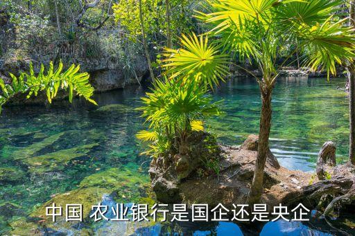 中国农业公司怎么样,考研中国农业科学院怎么样