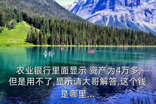 农业银行资产怎么用