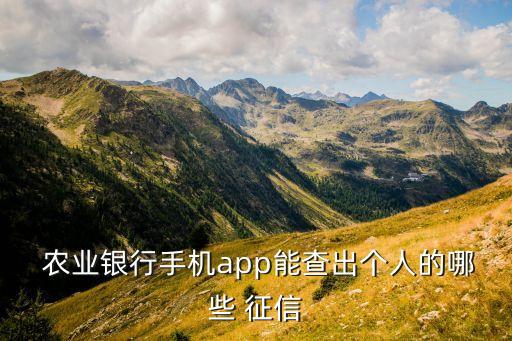 农业怎么查询个人征信,怎么查询个人征信有没有问题