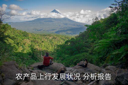 农业物流条件分析怎么写,物流个人swot分析怎么写
