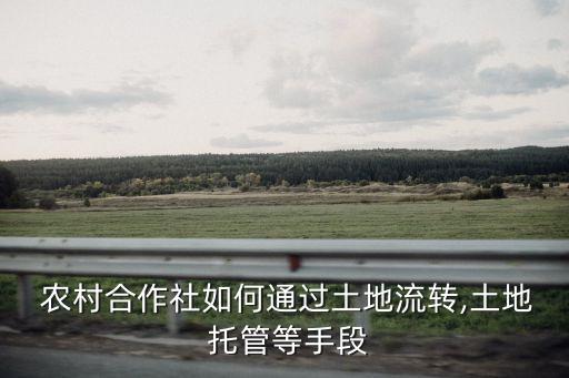 农村怎么托管农业,怎么实现农业农村现代化