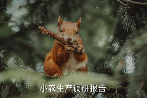 佛冈县农业情况怎么样