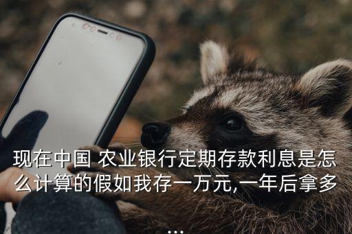 农业银行实时利率怎么算