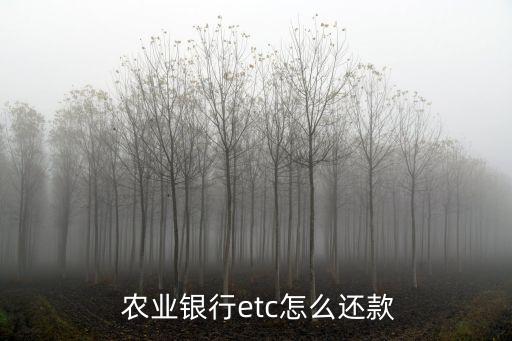 农业银行etc什么时候还,中国农业银行etc业务受欢迎!
