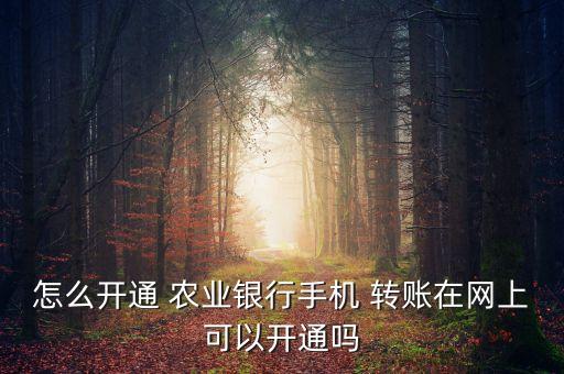 农业银行转账怎么申请