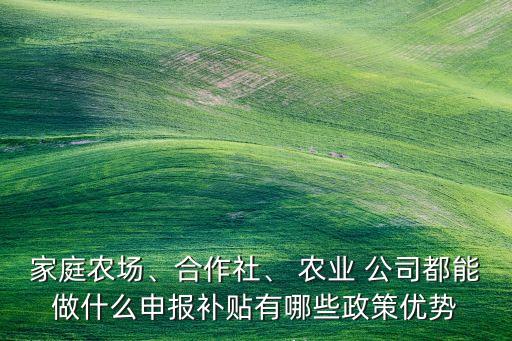 农业的公司是干什么的,农业发展公司能干什么