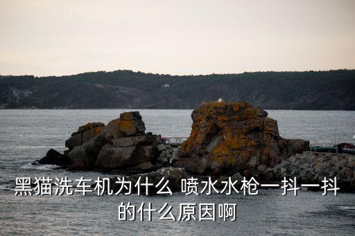 农业喷水枪不旋转怎么事