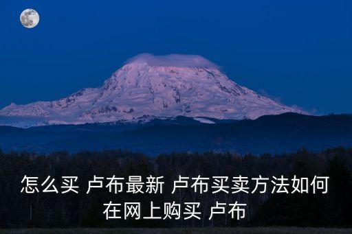 农业银行俄罗斯卢布怎么买