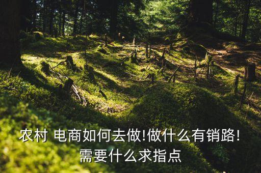 农业电商联盟怎么做