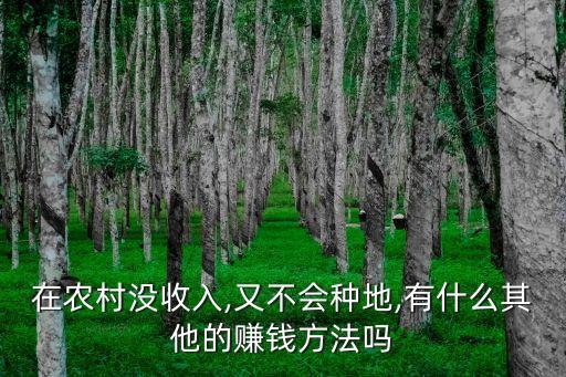 想做农业没资金了怎么办