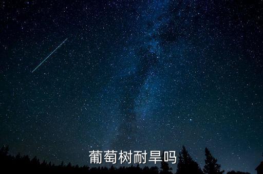 葡萄属于什么旱作农业吗,葡萄采摘期间需要浇水一次可能会开裂