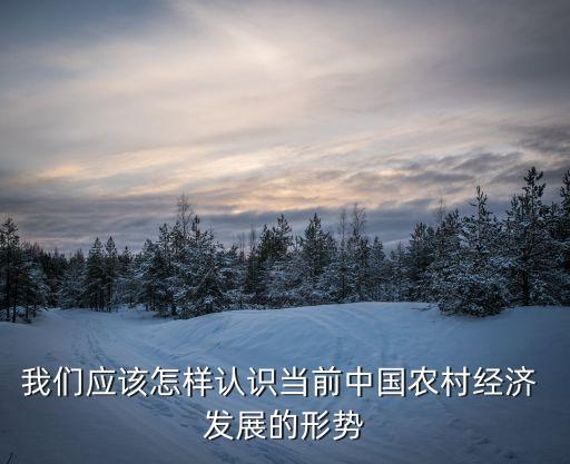 中国农业发展大家怎么看
