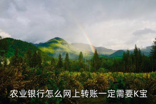 农业银行电子卡怎么交易
