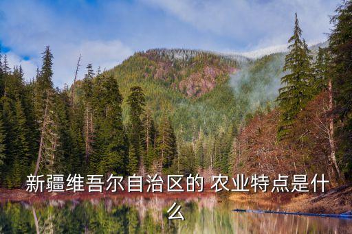  新疆维吾尔自治区的 农业特点是什么
