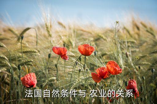 法国农业怎么那么发达,法国是西欧农业最发达的国家