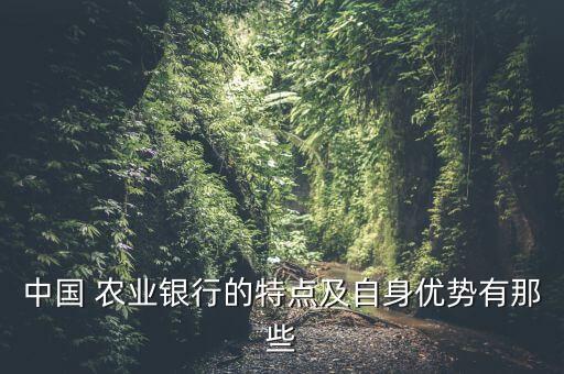 中国农业农业银行怎么样
