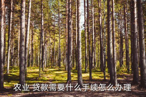 齐河农业银行贷款怎么贷,农业银行app贷款好贷吗