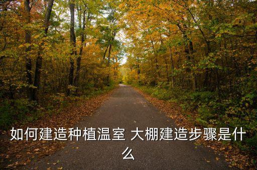 江西农业大棚怎么搭建,农业大棚搭建报备去哪里?