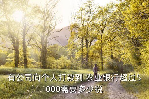 农业银行是怎么上税的