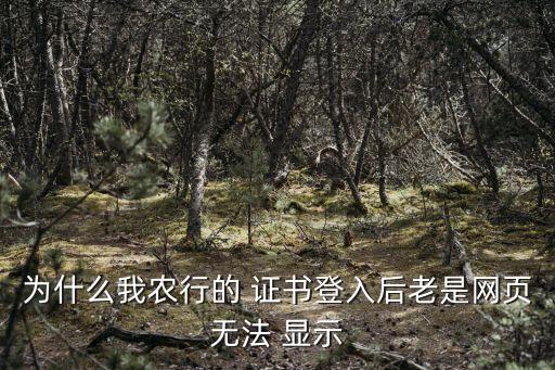 农业银行ie证书怎么显示