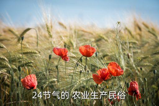 24节气的 农业生产民俗