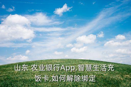 农业银行饭卡怎么退卡