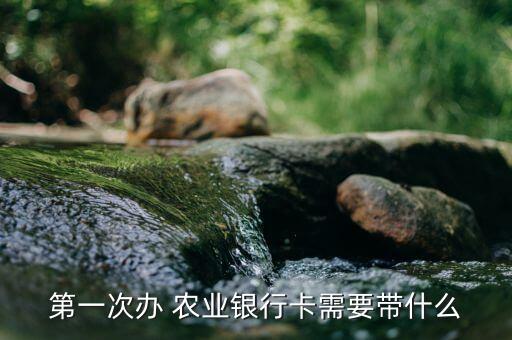 农业银行怎么样办理