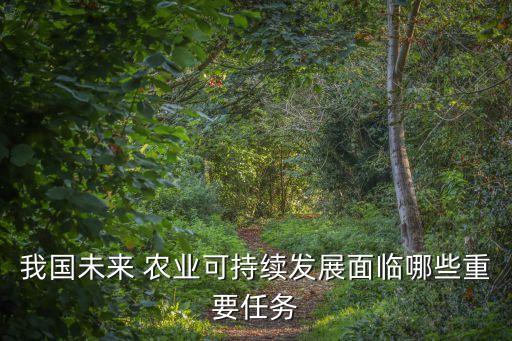 农业生产新台阶是什么,唐朝农业生产工具是什么