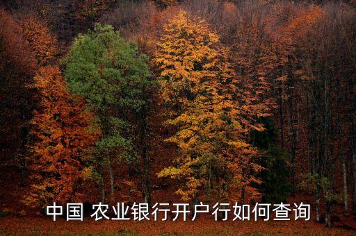 农业银行开行号怎么查