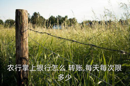 农业银行软件怎么实行转账