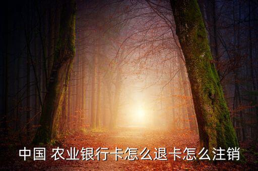 农业银行饭卡怎么退