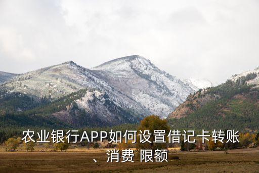 手机农业银行怎么看限额,农业银行app怎么看限额多少