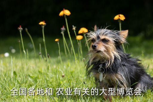 农业企业展会怎么选择
